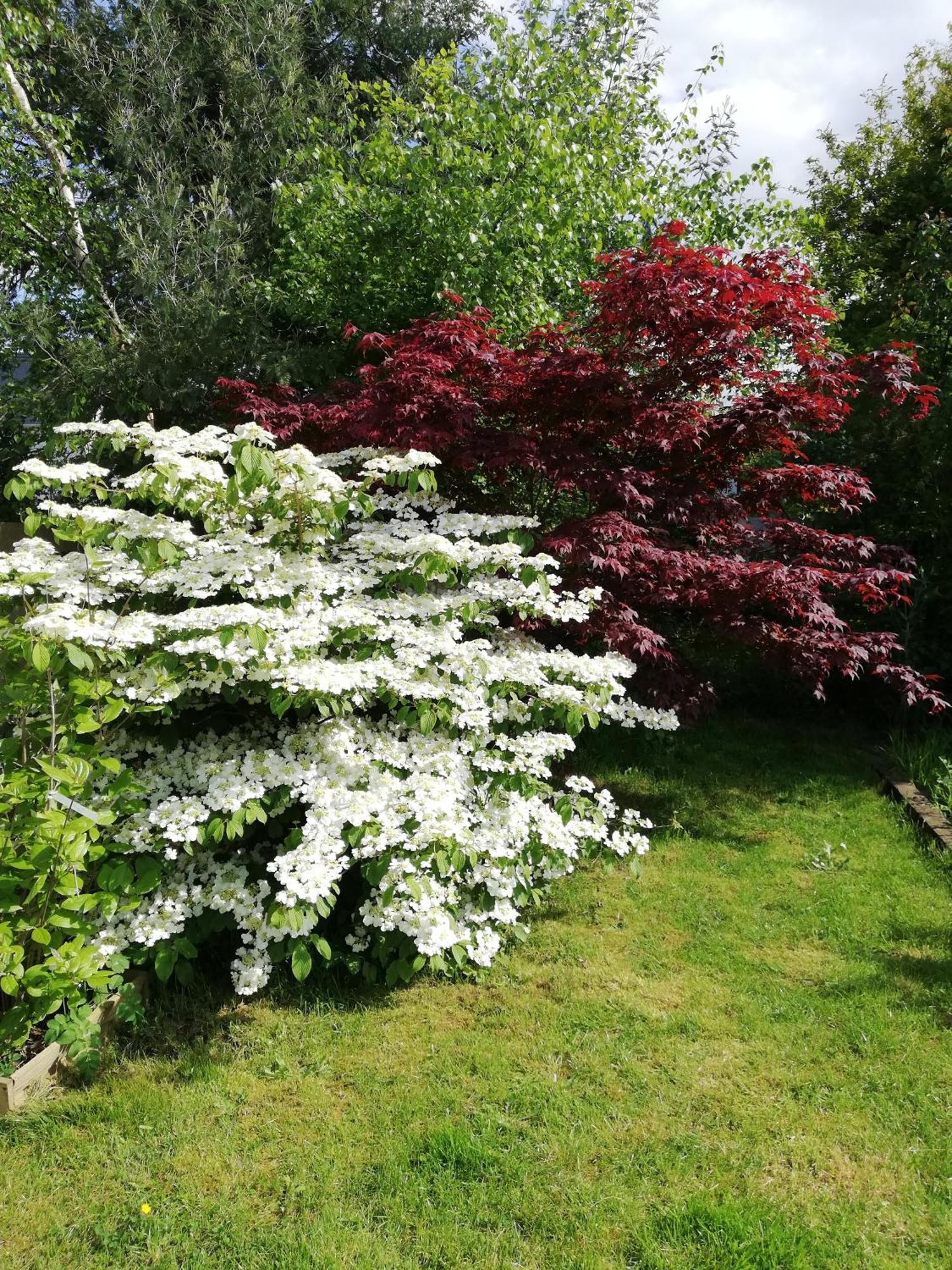 Willa Au Coeur Du Jardin La Boussac Zewnętrze zdjęcie