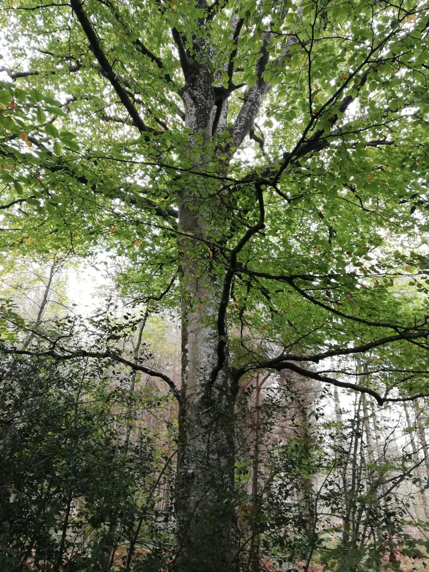 Willa Au Coeur Du Jardin La Boussac Zewnętrze zdjęcie